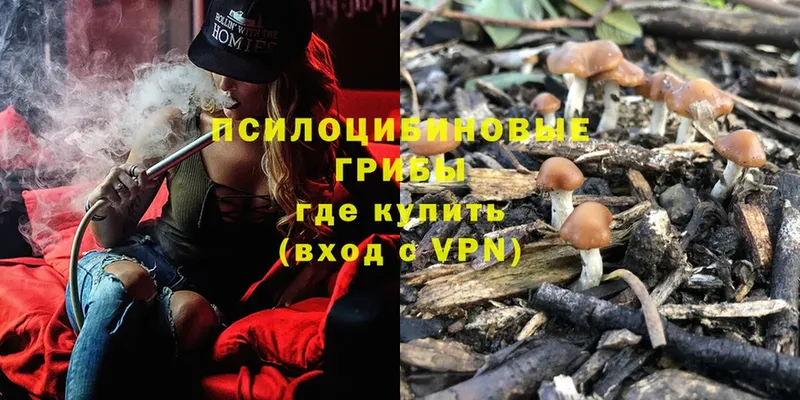 Псилоцибиновые грибы MAGIC MUSHROOMS  Тулун 